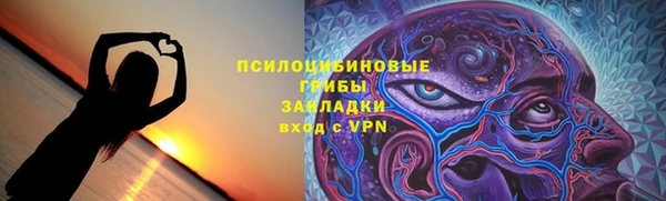 дмт Арсеньев