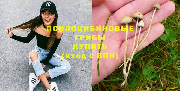 кокс Армянск
